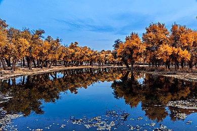 《迷雾魔域：迷雾与活地下城》Steam抢测开启 随机地图肉鸽